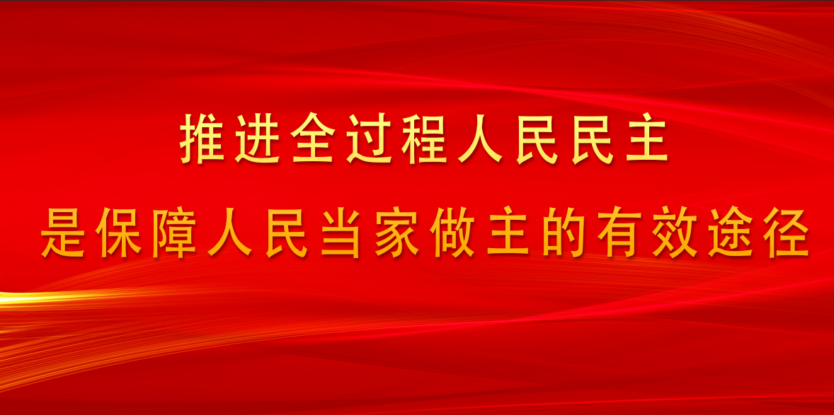 推进全过程人民民主是保障人民当家做主的有效途径