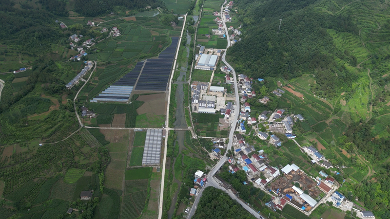 饶飞：躬耕基层沃土 全心服务群众