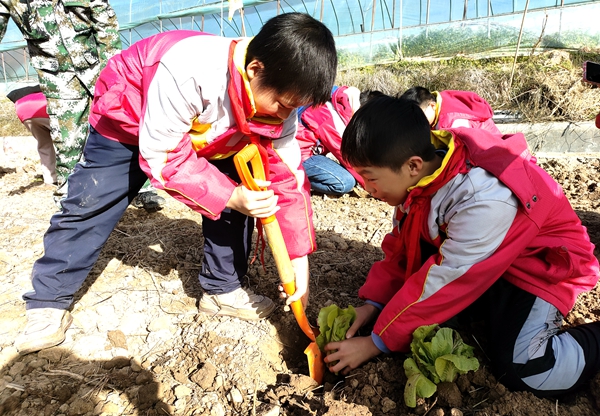 八一希望小学： 研学实践促成长  知行合一在路上