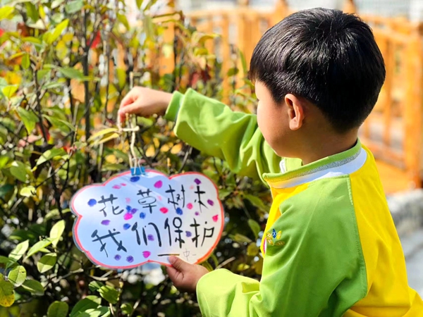 房县青峰镇中心幼儿园：爱绿在心，护绿在行