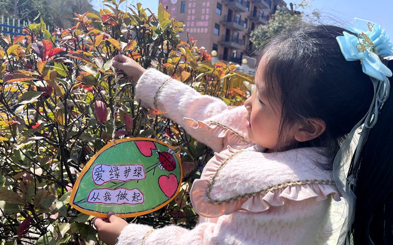房县青峰镇中心幼儿园：护绿从娃娃抓起