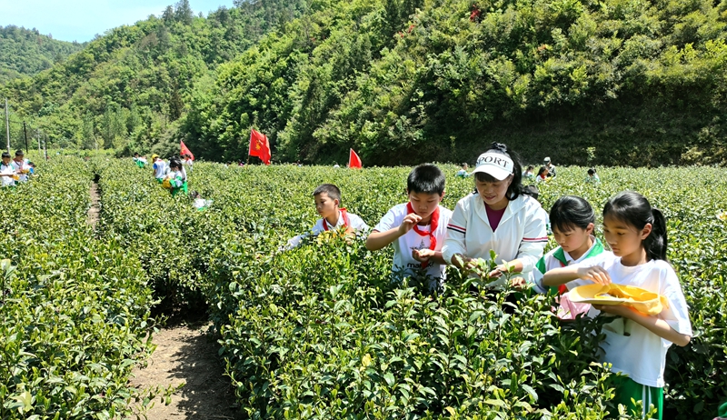 八一希望小学开展春季研学劳动＋国防教育实践活动