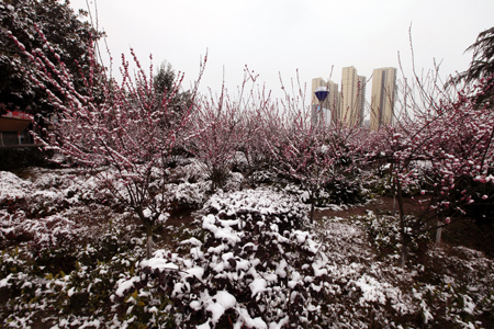 房陵雪景