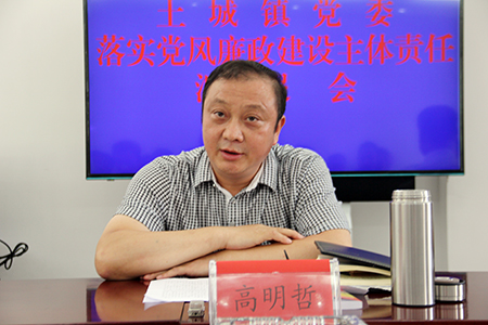 高明哲调研督导土城镇落实党风廉政建设主体责任