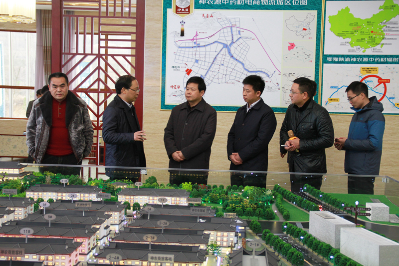 陈新武调研房县经济社会发展情况