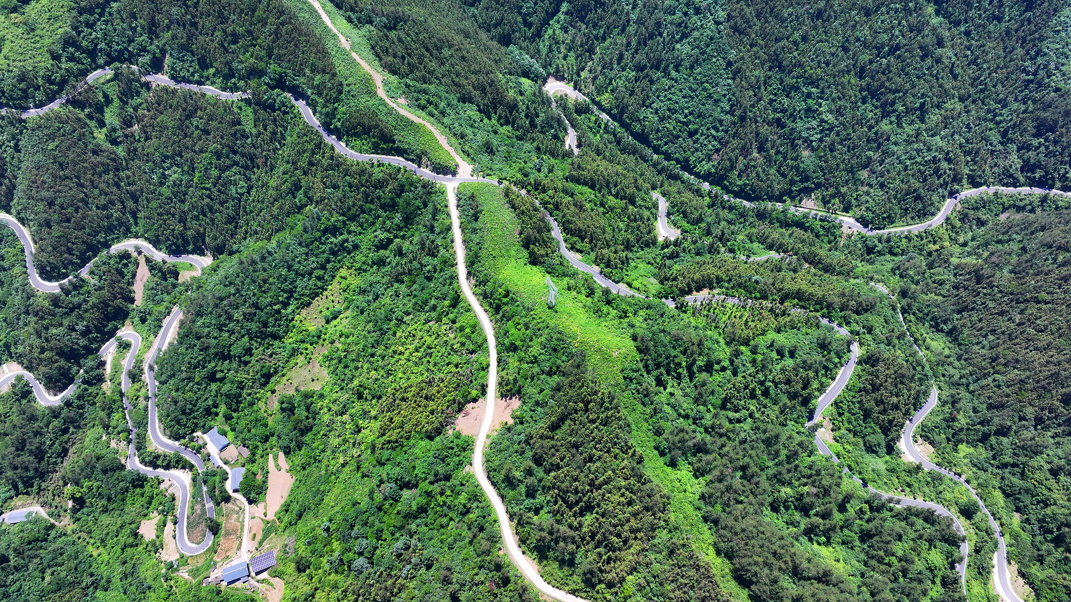 乡村公路变身“致富路”