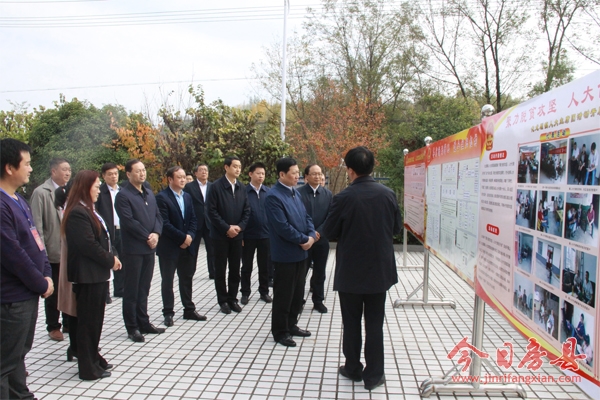 王祥喜来我县开展人大代表在行动活动