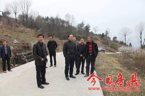 蔡贤忠调研春季林业重点工作