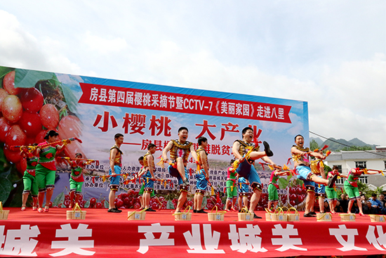 被樱桃改变的村庄