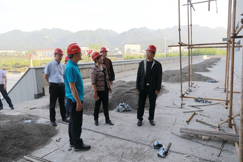 蔡贤忠专题调研“四馆一家”项目建设