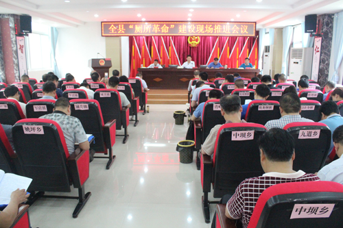 全县厕所革命建设现场推进会召开