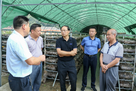 蔡贤忠调研沙河乡产业扶贫发展情况