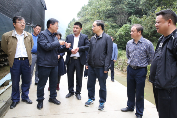 张歌莺来房视察精准扶贫和县域经济发展工作