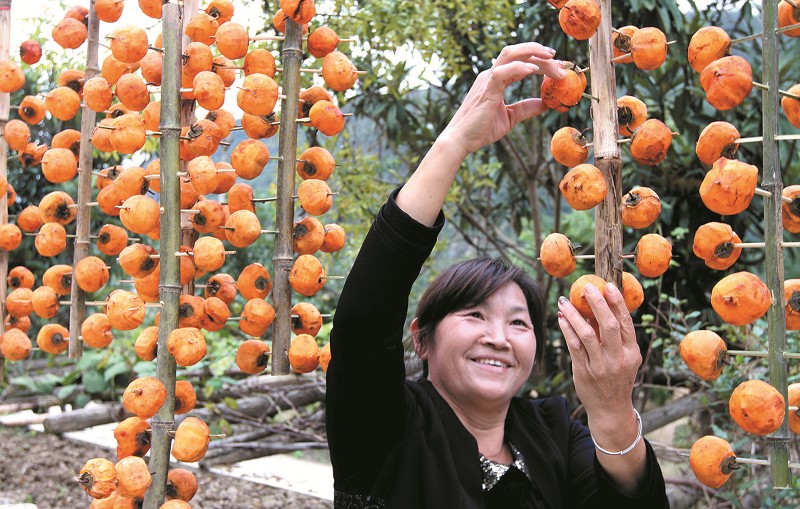 小柿子 大财富