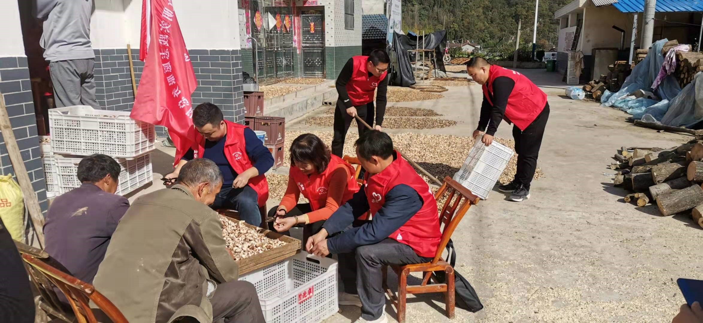 开展志愿服务 收获群众笑颜