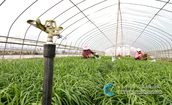 房县喷灌节水产业富乡村