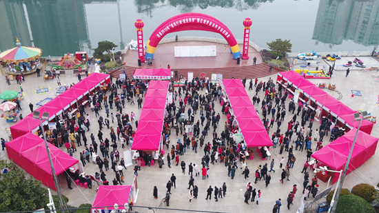 我县举办2019年“春风行动·就业扶贫”暨区域劳务协作专项服务招聘会