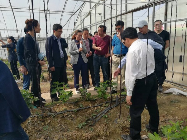 房县40名基层农技人员赴陕西杨凌观摩考察