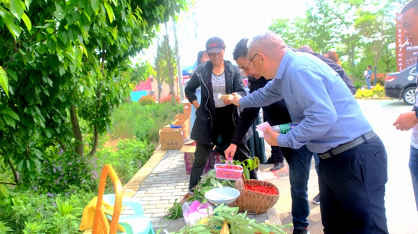 房县第五届樱桃采摘节开幕　樱桃全面上市