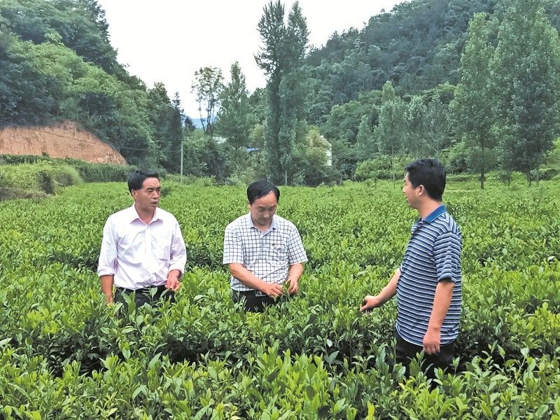 深耕扶贫路 ——记房县农业农村局驻窑淮镇西沟村第一书记余建福