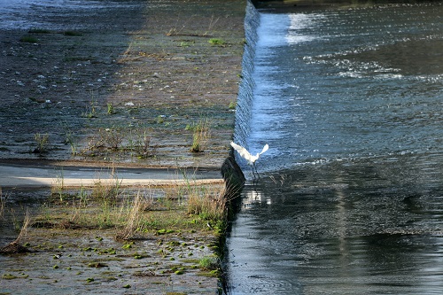 房县民间“三员”巡河护水