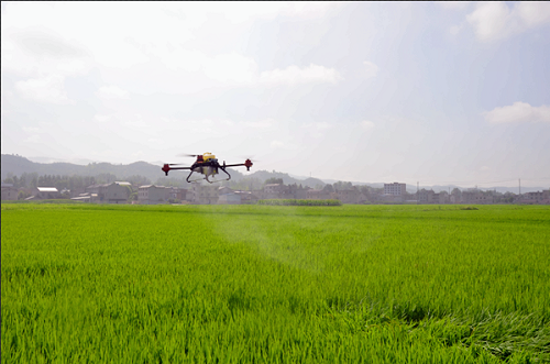 房县大力施行“六统一”技术措施 扎实推进水稻绿色高质高效创建项目