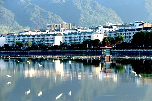 房县：白鹭群居汉江流域马栏河