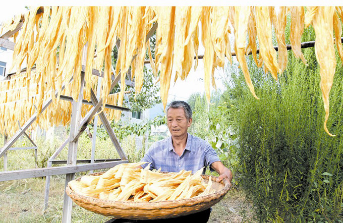 房县豆油精俏销