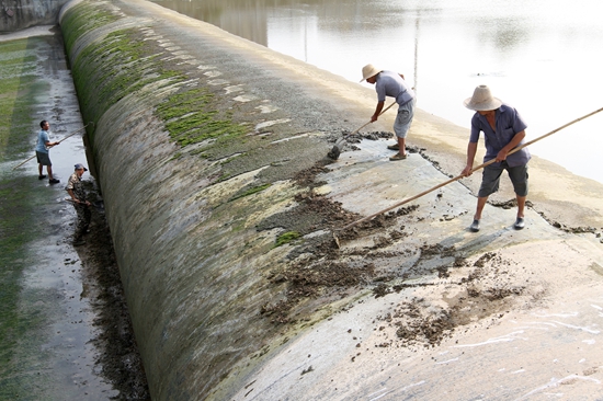 民间河长护河忙