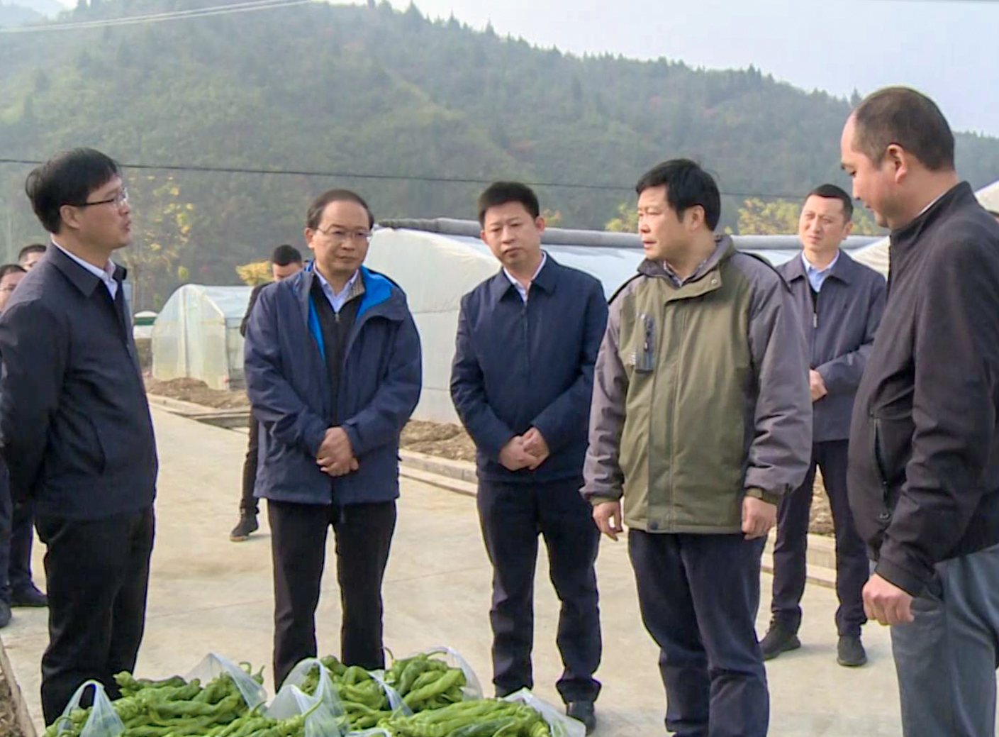 陈新武强调:巩固脱贫攻坚成果 夯实乡村振兴根基