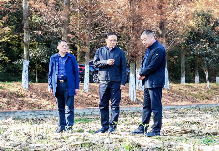 202011131552350236.jpg 202011131552350236.jpg