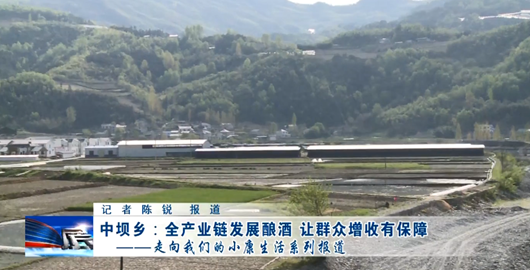 【走向我们的小康生活】中坝乡全产业链发展酿酒 让群众增收有保障