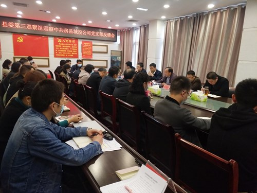 县委第三巡察组向县城投公司党支部反馈巡察情况