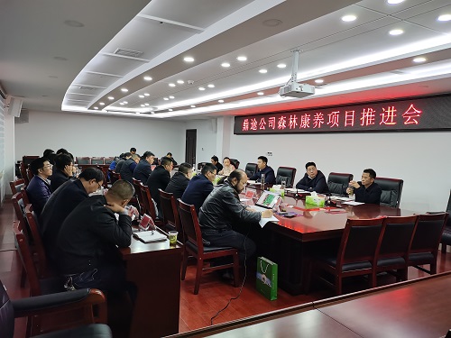 鼎途公司来我县投资建设柳树垭森林康养项目