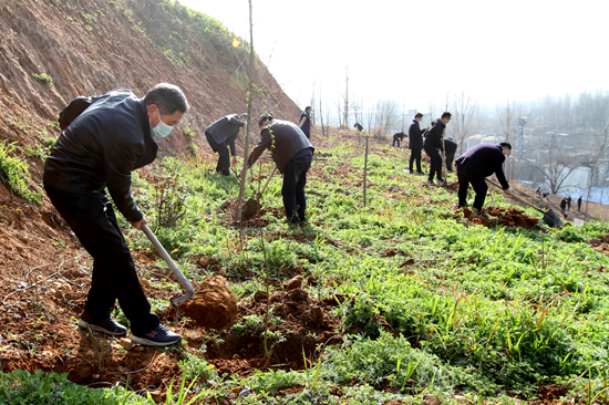 房县水利和湖泊局植绿小流域荒山