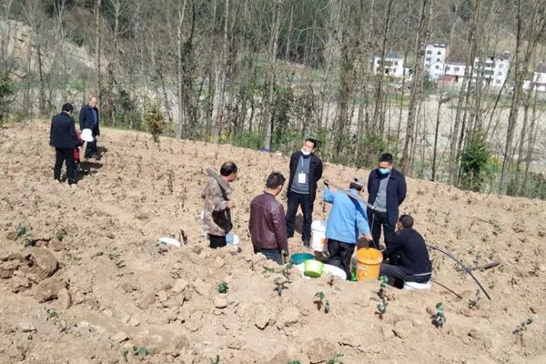 县农业农村局“四个到位”抓实春季农业生产