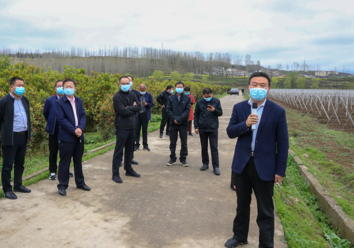 202003261104108736.jpg 202003261104108736.jpg