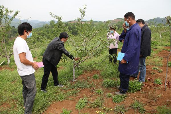 县林业局积极组织开展果树栽培技术培训
