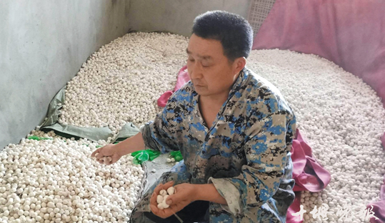 从小吃店老板到“酒曲子王” 看房县男子如何闯出一片天