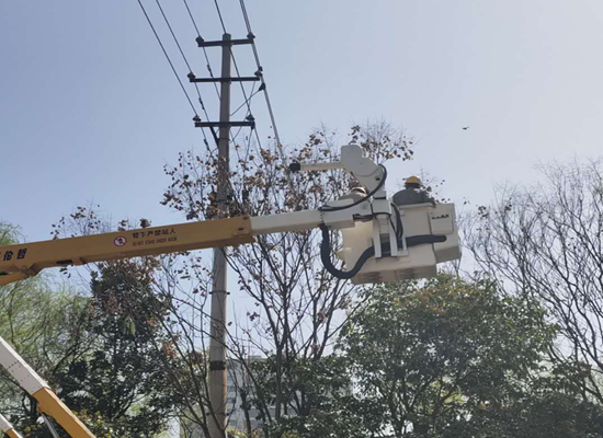 县应急管理局积极开展农村电力设施周边森林火灾隐患专项排查治理