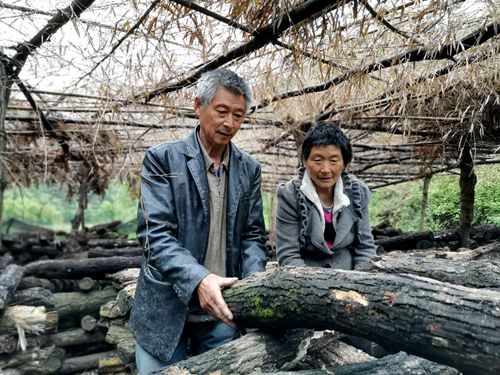 《我的脱贫故事》之二  孟长林：“家门口”的增收路