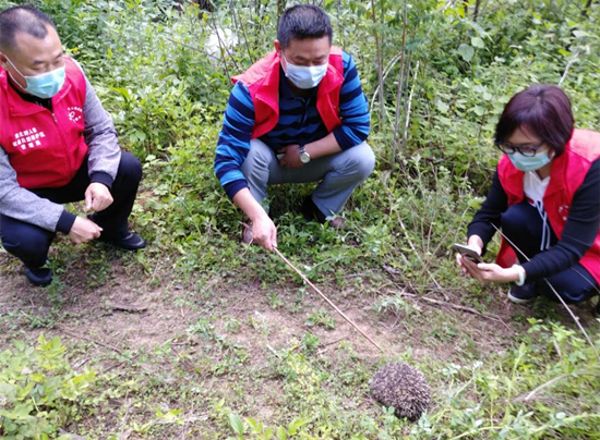 房县市民野生动物保护意识日益提高