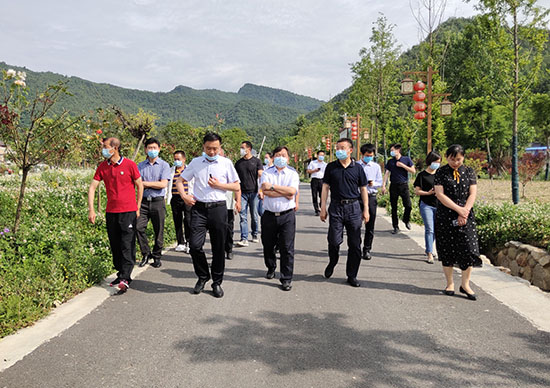 武当山特区党政考察团来房考察民宿产业