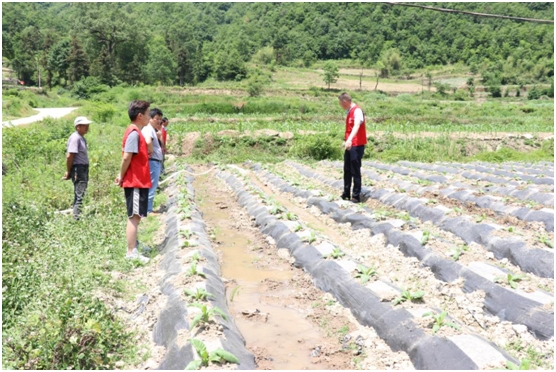 县农机服务中心新时代文明实践站为烟叶产业送服务