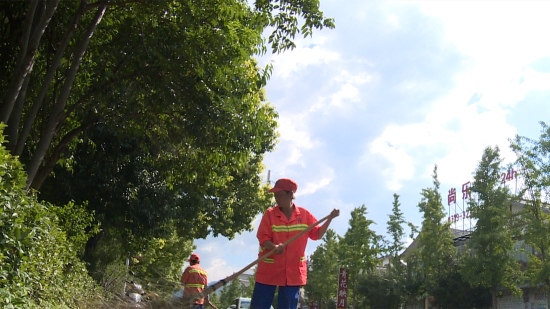 《高温下的坚守》：不惧烈日的城市美容师