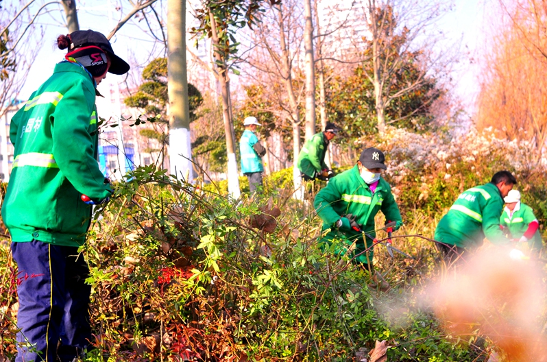 不负韶华园林人