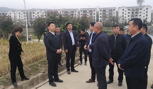 纪道清在青峰镇调研时强调：做强小微产业园  激活发展新潜力