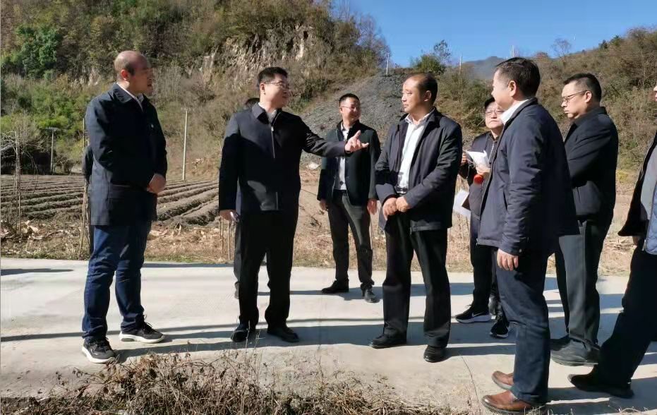 谢晓鸣到上龛九道调研经济社会发展和乡村振兴工作