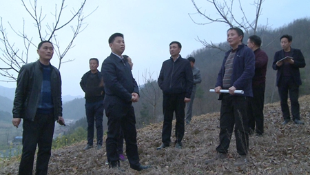 纪道清到土城镇调研烟叶和项目工作