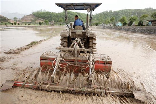 房县：灌区水利消除春耕育秧“死角”